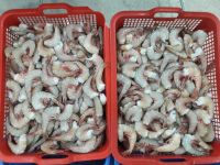 Tiger shrimps , HSLO shrimps , Tiger Prawns shrimps
