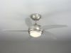 Decorative ceiling fan R44001