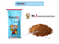 Special granular water-soluble fertilizer cocoly added with PAS