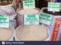 Quality Long grain/Broken/Basmati/Jasmin Thailand White Rice For Sale