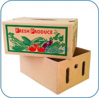 Paper Box for Fruit From Vietnam