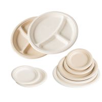 Sugarcane Bagasse Plates