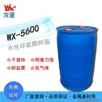 Waterborne epoxy resin