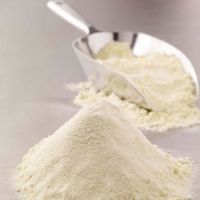 100% Whole Milk Powder / Full Cream Milk Powder For Sale