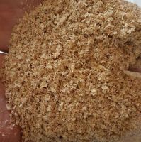 Best quality wheat bran for animal feed