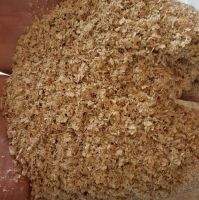 Wheat bran 100% quality for animal persons feed for sale From South Africa