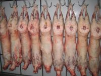 WHOLE FRESH LAMB CARCASS From Thailand
