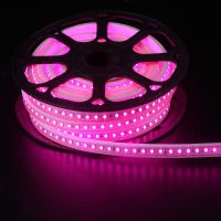 ETL CE 5050SMD 60P LED Strip