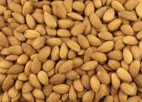 Raw Sweet Almond Nuts