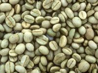 Arabica Green Coffee Beans Grade A