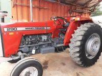 Massey Ferguson MF 290 agricultural tractor , 2wd, 