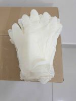 Latex Examination Gloves