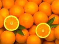 Fresh Navel and Valencia Oranges Citrus Fruits