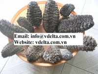 Dried Sea Cucumber (Black Prickly Fish)