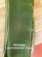 Frozen banana leaves from Vietnam - Doris +84 918023347