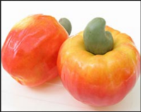 cashew apple / cashew fruit