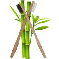 Eco Friendly Bamboo Toothbrush Ms.Luna +84 357 121 200