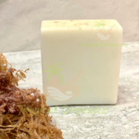 Handmade Sea Moss Soap/ Irish Seamoss Soap with premium quality/ MS. GINA +84 347 436 085