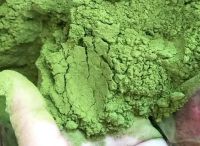 Miracle plant organic moringa oleifera leaf powder for buyers free sample/ MS. Selena +84 906 086 094