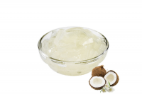 VIET NAM COCONUT JELLY WITH THE COMPETITIVE PRICE - Ms. Dilys +84 969 694 230