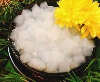 VIETNAMESE COCONUT JELLY WITH THE COMPETITIVE PRICE - MS. GINA +84 347 436 085