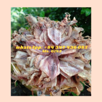 HOT SELLING PRODUCTS IN 2021-DRIED SQUID VIET NAM -SEAFOOD MS. GINA + 84 347 436 085