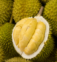 Frozen Durian Fruit Vietnam- Our best products/Tropical fruit WhatsApp +84 347 436 085