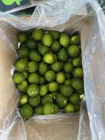 Persian Lime/ Seedless Lime For Import// Ms. Helen