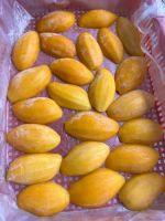 Iqf Frozen Mango Vacuum Packed In Bulk