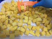 IQF Frozen Mango Vacuum Packed in Bulk