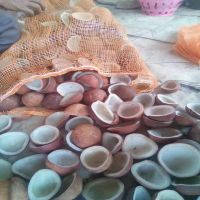 Good Quality Wholesale White Dried Copra (4-9cm) from Indonesia with Export Standard From South Africa