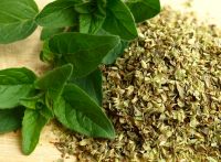 Oregano Leaves Dried Organic Powder for Feed Additive High Grade Herb Spice Oregano Dried Leaves
