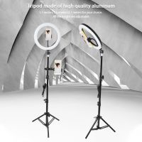 Wholesale Beauty 10 Inch Dimmable Tiktok