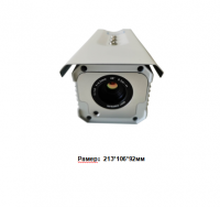 Temperature Screening Series EX300