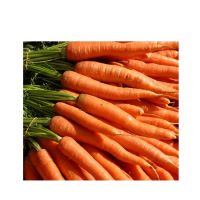 Carrots