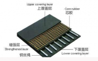Transverse reinforcement layer of steel cord conveyor belt