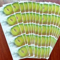 Color Printed Custom Design Adhesive Labels