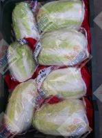 Iceberg Lettuce