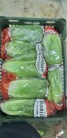 Fresh Romaine Lettuce