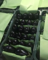 Fresh Eggplant