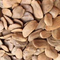 Agriculture Fertilizer Product Organic Cow Manure 100% Natural Matter High Quality From South Africa