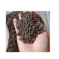 Vietnam High Quality Dry Black Peppercorn Dried Spices and Herbs Raw Processing Top Ad Drying Process From South Africa