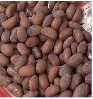 Kola Nut, Kernels