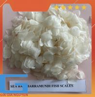 Dried Fish Scales For Extract Tilapia Fish Scales