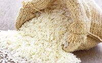 Basmati Rice, Wheat Flour, Pulse
