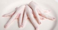 Halal frozen chicken (Whole chicen, feet, paws, breast, leg quarter, MJW, etc)