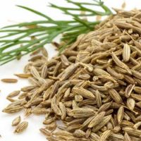 Carom Seeds/Ajwain 