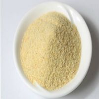 Dehydrated Garlic Granules  From South Africa