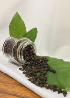 Pepper