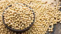 SOYBEANS